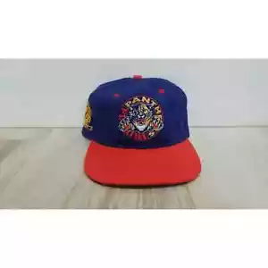 Vintage NHL Florida Panthers snap back FITTED 90s hockey - Picture 1 of 3