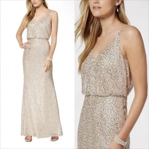Maxi Vestido Blusa Adrianna Papell Talla 12 Mujer Champagne Lentejuelas Cuello en V - Imagen 1 de 17