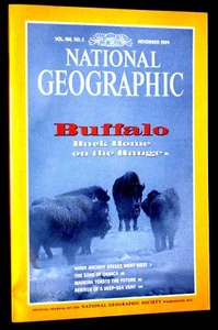 National Geographic NOVEMBER 1994 Buffalo Madeira Oaxaca Deep-Sea-Vent Greek - Picture 1 of 1