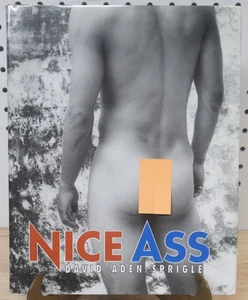 Used Vintage Original NICE ASS By David Aden Sprigle - Hardcover First Edition - Imagen 1 de 3