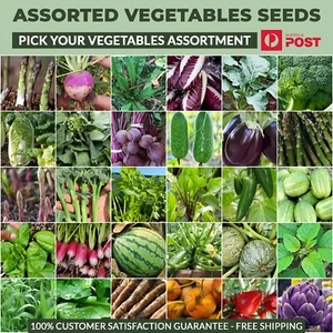 CHOOSE YOUR "VEGETABLES SEEDS" Bulk ASSORTMENT SEEDS Garden Vegetables Seed Grow - Picture 1 of 281