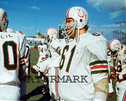 1970's CFL Montreal Alouettes Gordon Judges Vintage Helmet Logo 8 X 10 Photo Pic Cover