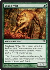 YOUNG WOLF Dark Ascension MTG Magic the Gathering Cards DJMagic