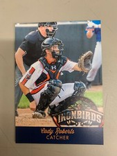 Cody Roberts Card 2018 Aberdeen Ironbirds Team Card