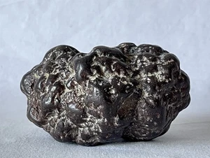 Caca de dinosaurio prehistórico coprolito fósil antiguo bien formado grande 527 g - Imagen 1 de 10