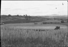 Queensland Sugarcane fields, south Johnston, North Queensland - Old Photo