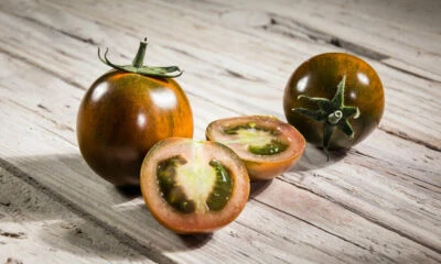 TOMATE CAMONE SARDO, 50 SEMILLAS + GRATIS - Imagen 1 de 3