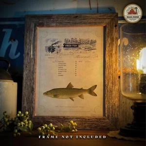 Fish Market Poster Art Print Trout Fishing Restaurant Kitchen Artwork Decor Gift - Picture 1 of 8