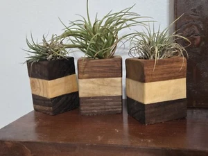air plant holder stand - Picture 1 of 5