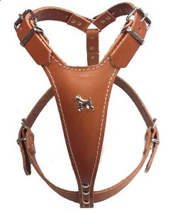 Beautiful Brown Leather Dog Harness with Jack Russell Head Motif - Picture 1 of 1