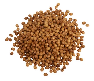 100 g aceitunas de madera con vetas naturales VBS embalaje a mano grande cuentas de madera perlas artesanales - Imagen 1 de 2