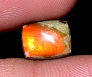 Natural Rare Ammolite Gemstone Cabochon 2.20 Ct Loose Ammolite Gemstone  - Picture 1 of 5