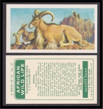 African Wild Life (Brooke Bond - Rhodesia 1961)  #28 Barbary Sheep