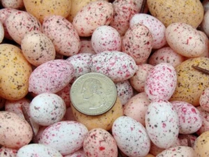 400 + Speckled Easter Eggs Lightweight Plastic ~ Great for vases! Two Sizes - Picture 1 of 7