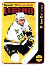 2014-15 O-Pee-chee Retro #552 Brian Bellows