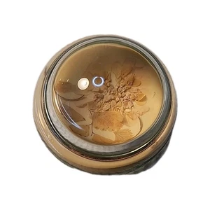 Vintage Kerzensammlung Lupe Kuppel Briefbeschwerer Vintage Floral 3" - Bild 1 von 5