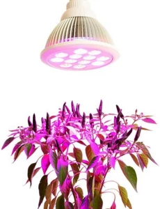 Indoor Plant Flowers Vegetables LED Grow Lights 12W Bulb For Hydroponic Pods - Picture 1 of 7