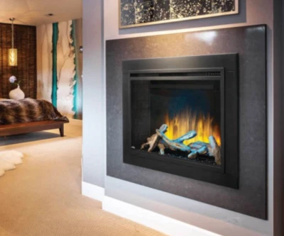 Chimenea eléctrica incorporada Napoleon Element 36", NEFB42H-BS-1 Foto 1 de 4