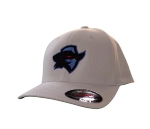 XFL Football Dallas Renegades Embroidered Flexfit®  Ball Cap Hat New - Picture 1 of 21