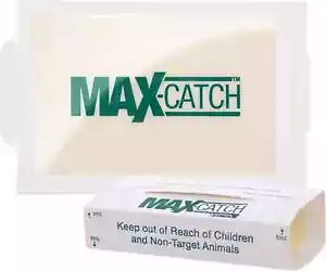 Mice Glue Traps Pest Sticky Boards 72 MAX Trap Catch Spiders Insects, 36 Count.. - Picture 1 of 7