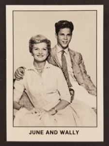 Leave It To Beaver 1983 June and Wally Pacific Card #24 (NM)