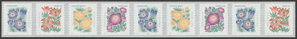 USA Sc. 5675a (F) Mountain Flora 2022 MNH PNC9 * - Image 1 of 1
