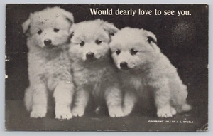 Postcard Would Dearly Love To See You Three Puppies 1911 - Picture 1 of 2