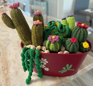 Adorable EdyArts Crochet Succulent Cactus Arrangement Potted - Picture 1 of 6