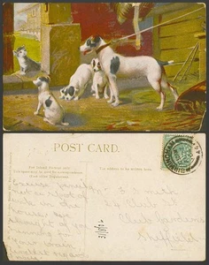 Katze Kätzchen Hunde Welpen 1904 alte Farbpostkarte Hund Welpe Haustiere Tiere HM & Co. - Bild 1 von 1