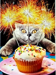 "You Are a Sparkler!" Avanti Happy Birthday Foil & Glitter Card with Envelope - Bild 1 von 3