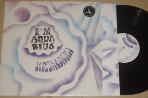 Metronomy -I'm Aquarius- 12" Because Music (BEC5161689) near mint - Picture 1 of 1