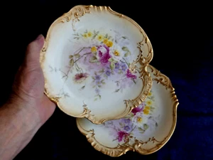 PAIR ANTIQUE ROYAL BONN CABINET PLATES c1890 - Picture 1 of 6