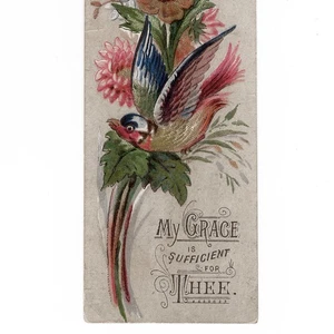 Antique c1880s David C Cook Sunday School Sample Reward of Merit Card Chicago IL - Picture 1 of 5