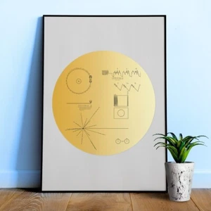 NASA Voyager 1 Golden Record (White background) — space poster, science print - Picture 1 of 11