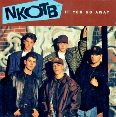NKOTB New Kids On The Block - If You Go Away - US Promo CD Single  tour souvenir - Image 1 of 4
