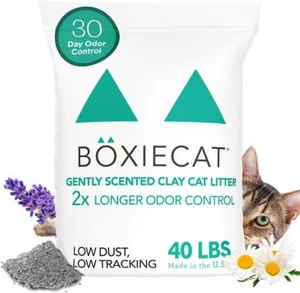 30 Day Natural Odor Control Cat Litter, 40lb Clumping Clay Kitty Litter - Picture 1 of 21