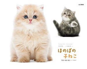 2026 Calendar Heartwarming Kitten Monthly/Wall Hanging/Cat Yamakei Calendar 848 - Picture 1 of 1