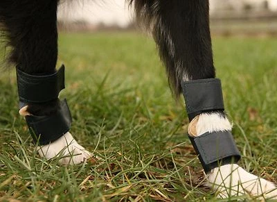 COUNTRY MUN Dog Stopper Pad (carpal pad) protectors.Genuine Leather - avoid injury/vet bills