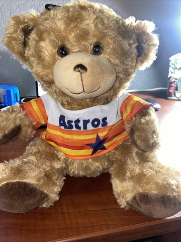 Houston Astros foco 10 inch teddy bear Cover