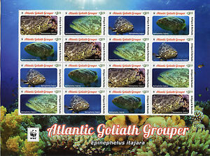 Antigua & Barbuda 2016 MNH Atlantic Goliath Grouper WWF 16v M/S Fish Stamps