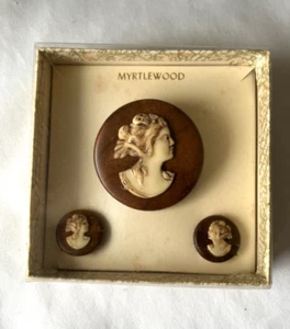 Vintage Boxed Set Oval Myrtle Wood and Resin Cameo Brooch W/Clip-on Earrings - Picture 1 of 9