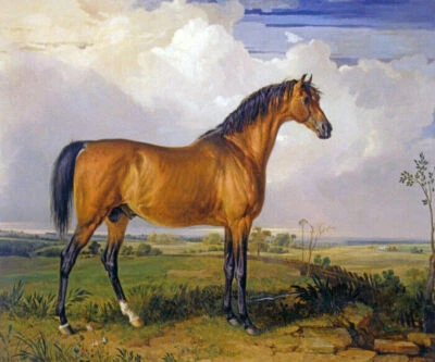 AGUILA UN FAMOSO CABALLO SEMENTAL PINTURA ANIMAL POR JAMES WARD REPRO  Foto 1 de 3