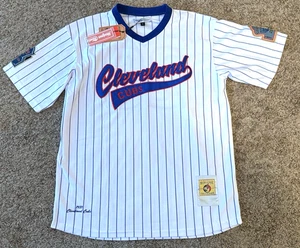 MWT Herren HeadGear Heritage Classics Cleveland Cubs Negro League Trikot XL #29 - Bild 1 von 12
