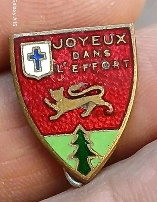 Insigne Scout Scoutisme Ou Chantier De Jeunesse Joyeux Dans L'effort Augis - Photo 1/4