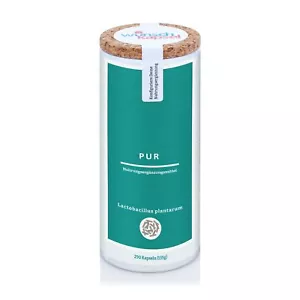 Lactobacillus plantarum puro, 10 mil millones (1 x 10^10) KbE - 290 cápsulas - Imagen 1 de 7