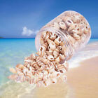  Beach Seashells Mini Crafts Micro Mediterranean Decor Miniature