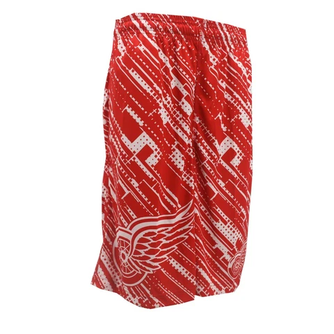 Detroit Red Wings Official NHL Apparel Kids Youth Size Athletic Shorts New Tags Cover