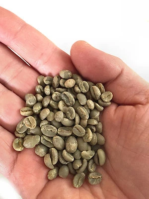HOWELLS FIRE ROAST 5 LBS natural Brazil Cerrado sc 14/16 green coffee