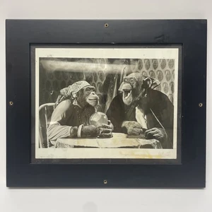 Mata Hairi verkleidet als Zigeuner Lancelot Link geheime Schimpanse Stunde 12 x10 Foto - Bild 1 von 6