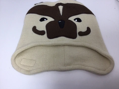Wisconsin Bucky Badger Stocking Cap by Zazootz Mascot Wear One Size Fits Most Cover